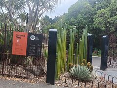 -墨尔本皇家植物园