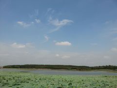 -丁香湖公园