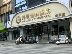 -丹景宠物医院·全科·老年病·牙科(武昌诊疗中心)