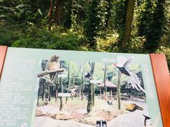 -广州市帽峰山景区