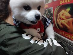 -洞天食府(北大街店)