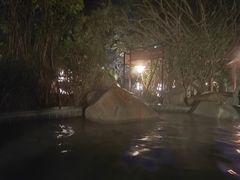 -水底山庄园温泉