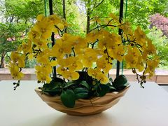 -上海佘山世茂艾美酒店