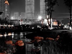 -花果园湿地公园