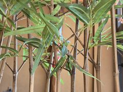 -小洞天柴火土菜馆