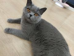 -1013 PET SHOP 宠物商店(近铁城市广场店)