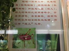 -上海昆虫博物馆
