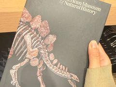 -美国自然历史博物馆