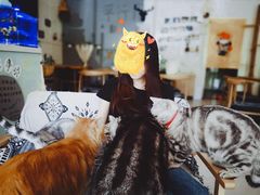 -平行世界·猫咖(首经贸店)