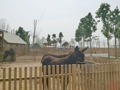 -廊坊市自然公园