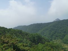 -沂蒙山旅游区云蒙景区(蒙山国家森林公园)