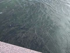-深圳湾公园(南山区)