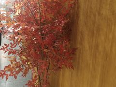 -巴蜀懒人火锅(龙颈路店)