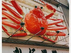 -蟹道乐(道顿堀本店)