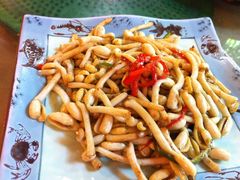 醋炒花生芽-年辉渔村·非遗传承餐厅(新丰江店)