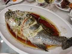 -日照君临天下大酒店