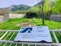 -西安秦岭野生动物园