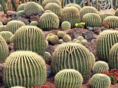 -南通洲际绿博园