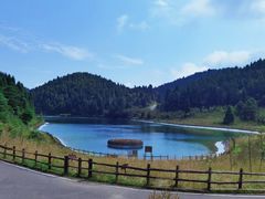 -武陵山森林公园