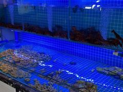 -義聚德·清真铜锅涮羊肉·烧烤(河东店)