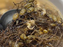 -百年银屏蚝烙·潮汕菜·非遗(乐山店)