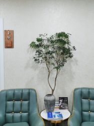 -北京炫美医疗美容