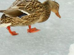 -维乐口腔医院(星海湾分院)