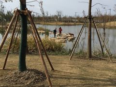 -上海长兴岛郊野公园