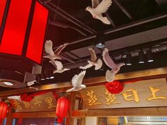 -鸽子窝(黄村店)