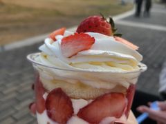 -维利康(梅山店)