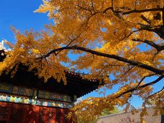 -红螺寺