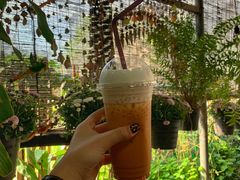 泰式奶茶-Tikky Cafe