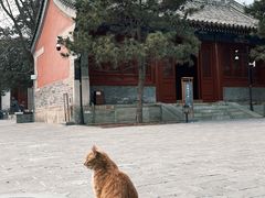 -宣南文化博物馆