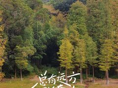 -广州市白云山风景名胜区