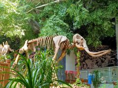 -中国第四纪冰川遗迹陈列馆