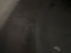 -巢爷老味(东方红店)