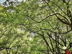 -上海交通大学医学院附属瑞金医院(总院)