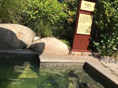 -太白山御龙湾温泉
