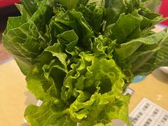 -吴系粤菜馆·茶餐厅(深业上城店)