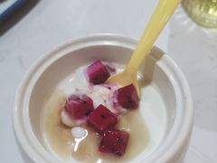 自制老酸奶-小城外婆肴私房菜.家宴聚集点(圆明园颐和园·清河上地店)