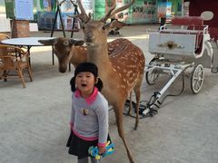 iphone_upload_pic-北京鹿世界主题园