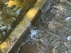 -重庆彩云湖湿地公园