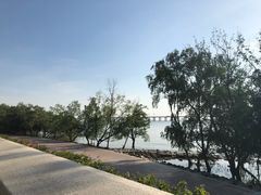 -宝安西湾红树林湿地公园