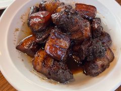 -大队长大灶鹅