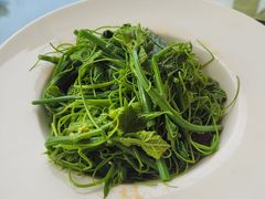 凉拌丝瓜苗-荷塘味道(水长城店)