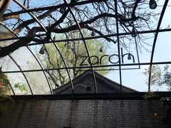 -zarah(鼓楼店)