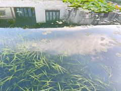 -沧浪亭
