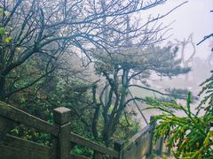 -娄山关景区