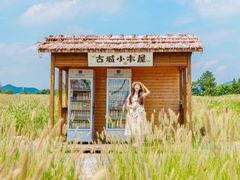 -良渚古城遗址公园