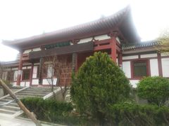 -黑河国家森林公园